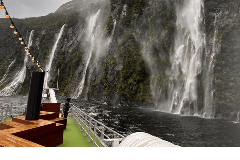 Tour di un giorno intero e crociera Premium nel Milford Sound