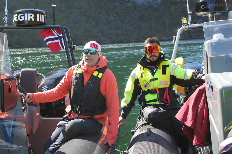 Flåm: Nærøyfjord RIB-boat Experience & Waterfalls