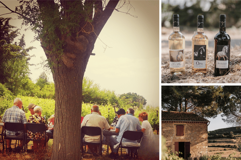 Mas Farchat: Wine tasting and tapas in the heart of nature Mas Farchat: Wine tasting with the winemakers