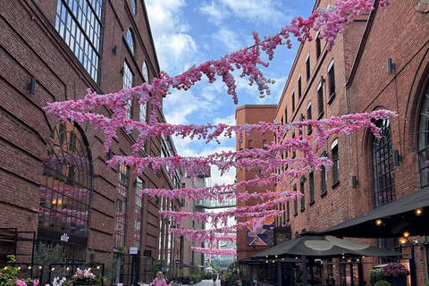 Oslo tour: living history and local curiosities Oslo Tour: Living History and Local Curiosities