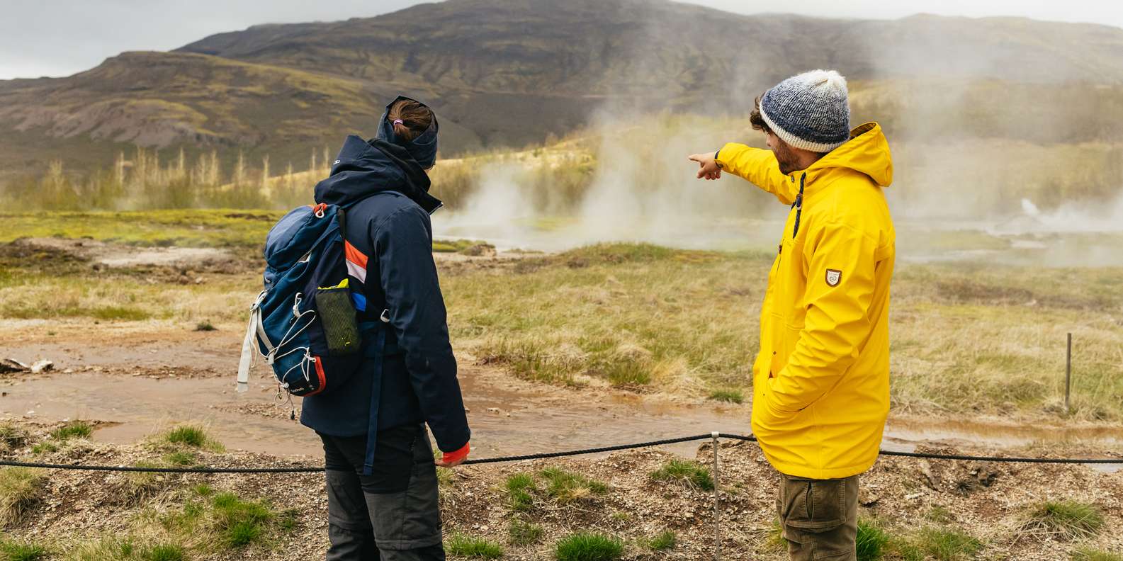 section