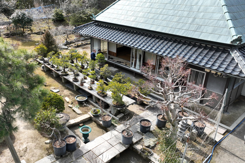 Hiroshima: Bonsai - A Gentle Journey into Nature’s Art