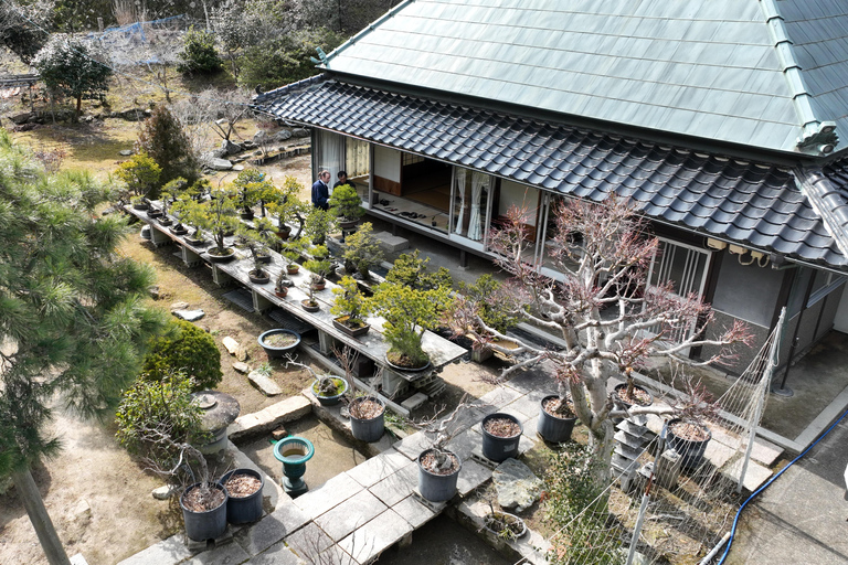 Hiroshima: Bonsai - A Gentle Journey into Nature’s Art