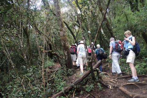 Trekking z Kandy do Ella