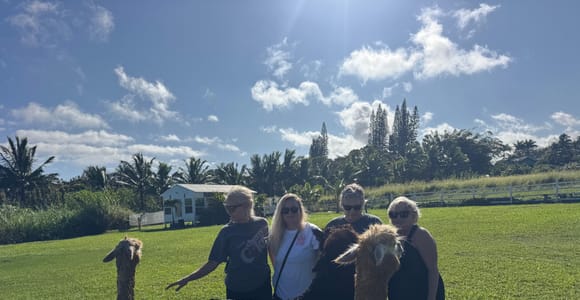Alpacas Farm Tour on the Road to Hana