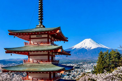 Tokyo: Mt Fuji Full-Day Private Tour of Top Best Places