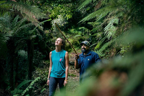 Rotorua: Whirinaki Forest Guided Tour & Luxury Spa Entry
