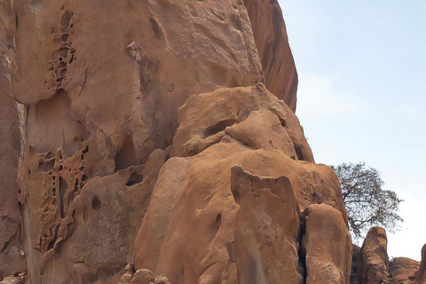 Au départ de Swakopmund : visite guidée d&#039;une jounée à Spitzkoppe