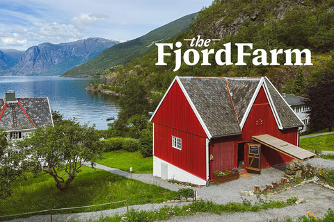 弗洛姆：峡湾农场音乐会