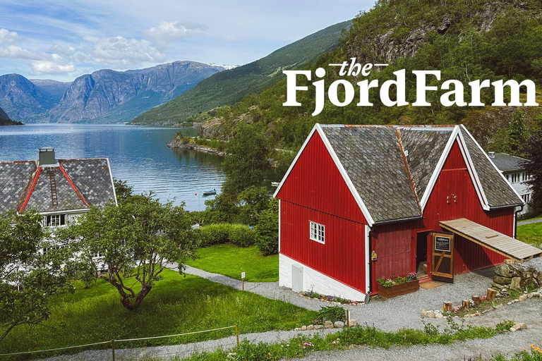 弗洛姆：峡湾农场音乐会