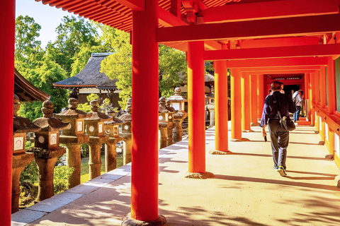 A Thousand Blossoms & Deer: Nara Spring Day Tour