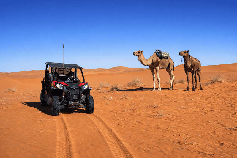 Depuis Merzouga : aventure en buggy et sandboard au Sahara - buggy