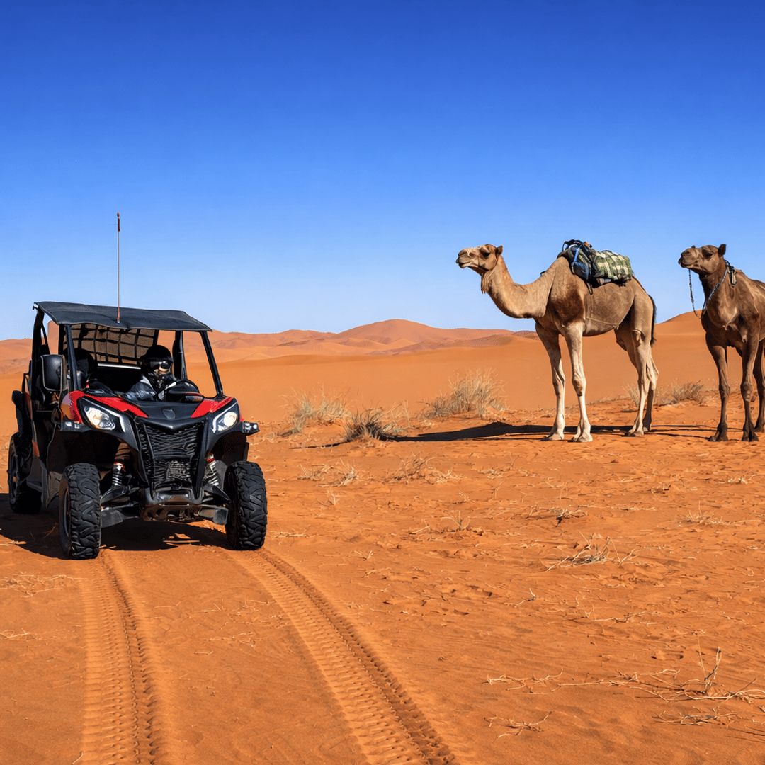 Depuis Merzouga : aventure en buggy et sandboard au Sahara