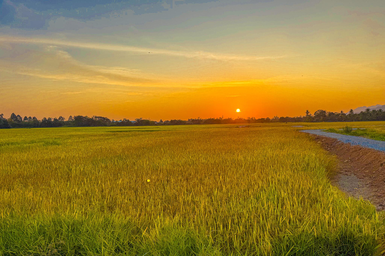 Langkawi Quad Hilltop Golden HourL&#039;heure d&#039;or du quad sur la colline de Langkawi