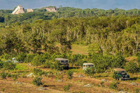 Private Tour Uxmal Land Rover Vintage safari & Mayan brunch