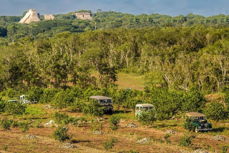Private Tour Uxmal Land Rover Vintage safari & Mayan brunch