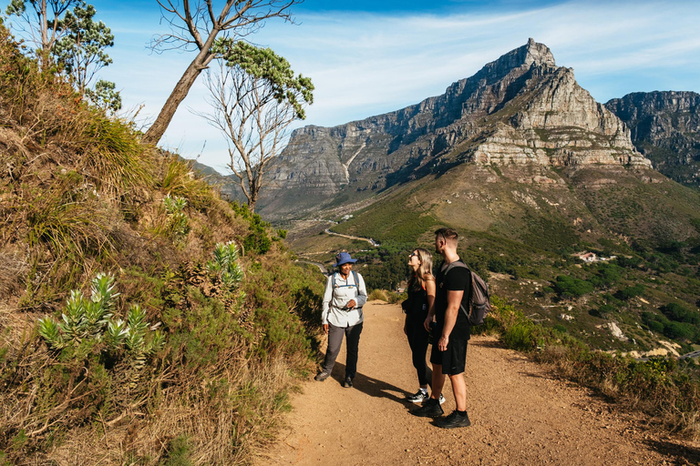 Cape Town: Lion's Head Sunrise or Sunset Hike