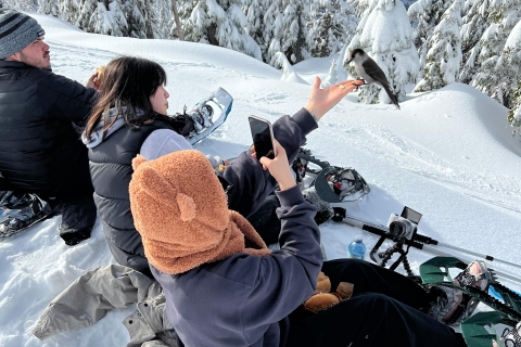 Schneeschuhwandern in Vancouvers Winterwunderland