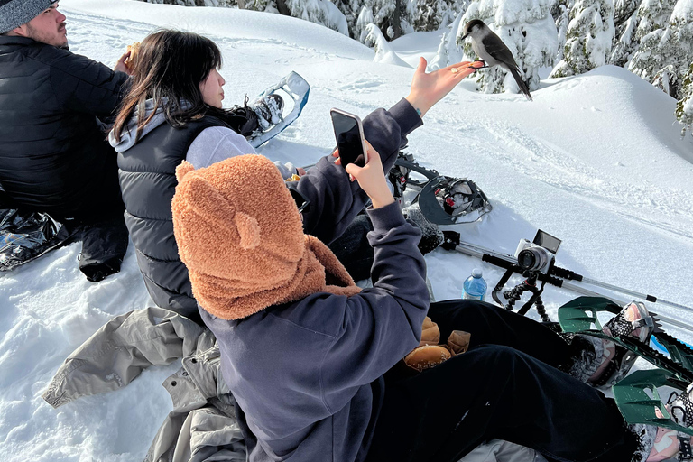 Raquetas de nieve en el País de las Maravillas Invernal de Vancouver