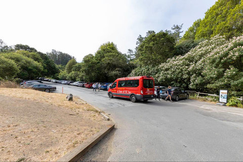 São Francisco: Muir Woods e Sausalito Taxa de entrada incluída