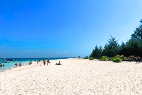 Krabi: Exclusive Phi Phi Islands Private Speedboat Tour