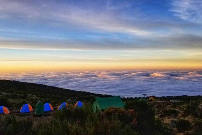 Da Nairobi: Escursione di un giorno sul Monte Kenya con trasferimenti