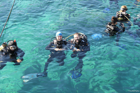 Unforgettable Diving Experience: From Beginners to Advanced