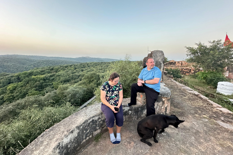 Delhi : excursion de 5 jours dans le Triangle d&#039;Or avec un guide germanophoneExcursion de 5 jours avec hébergement dans des hôtels 4 étoiles