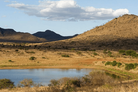 Arusha: Excursão de 3 dias ao Parque Nacional Mkomazi e à aldeia Maasai