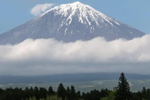Tokyo: Mount Fuji and Hakone Hidden Gems Tour