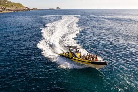 Mallorca : Excursion en Jet Boat Bladerunner