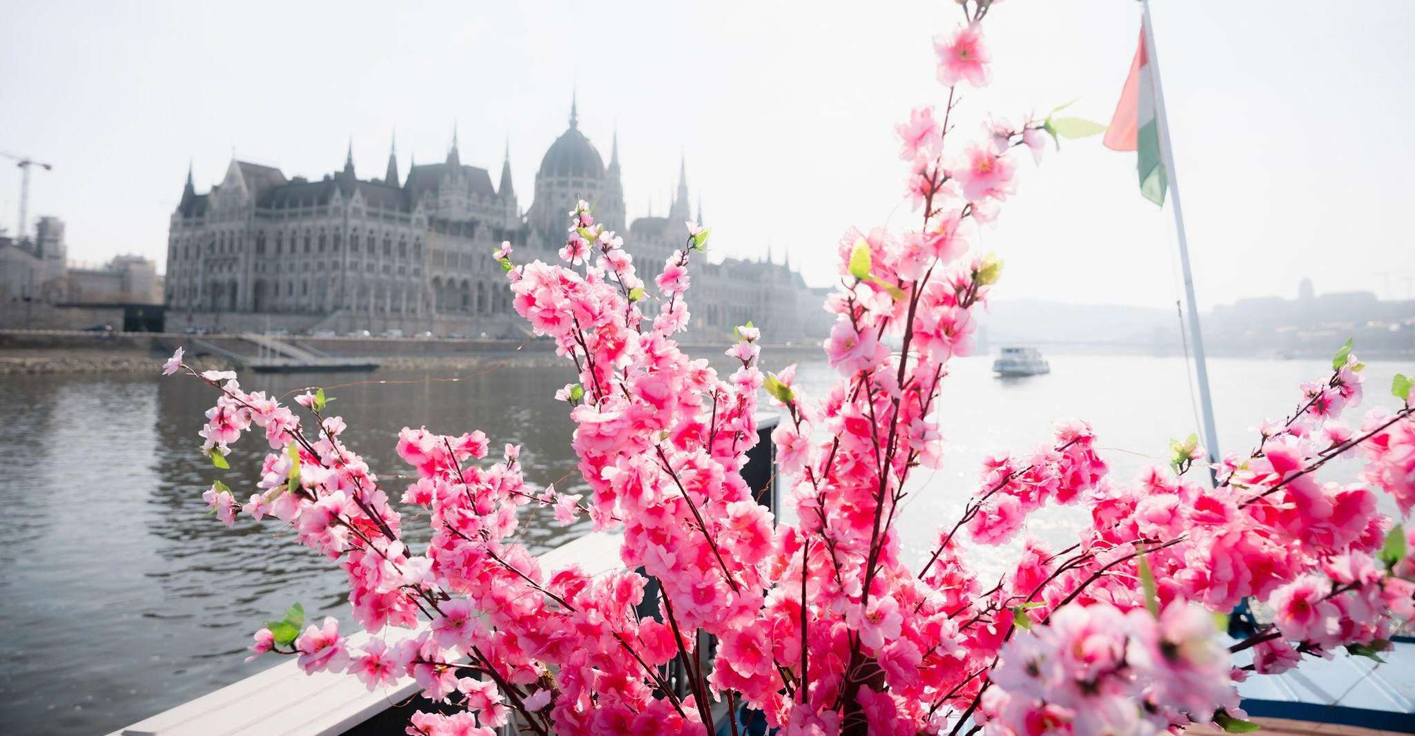 Budapest: Daytime Hop-on Hop-off Cruise with Welcome Drink photo 7