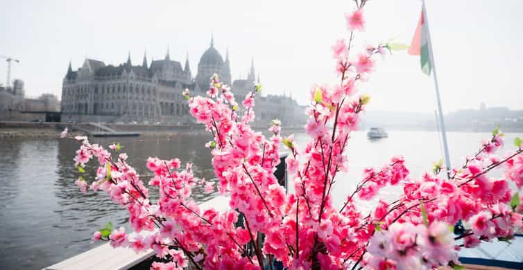 Budapest: Daytime Hop-on Hop-off Cruise with Welcome Drink photo 7