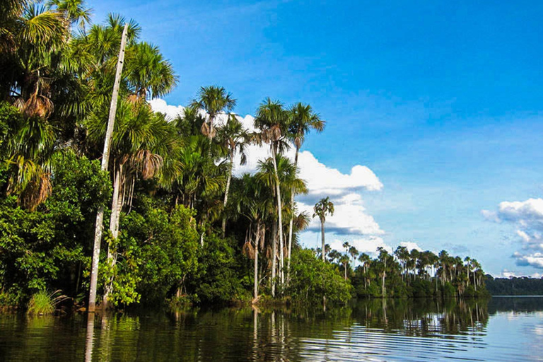 Tambopata Jungle Excursion 2 Days | Kayak – Monkey Island