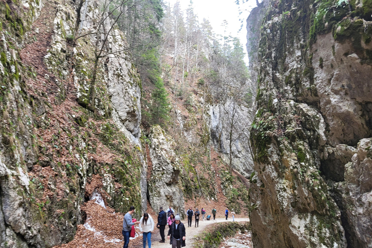 Transsilvanien enthüllt: Legenden, Erbe, echte ErlebnisseTranssilvanien wird enthüllt: Legenden, Erbe, echte Erlebnisse