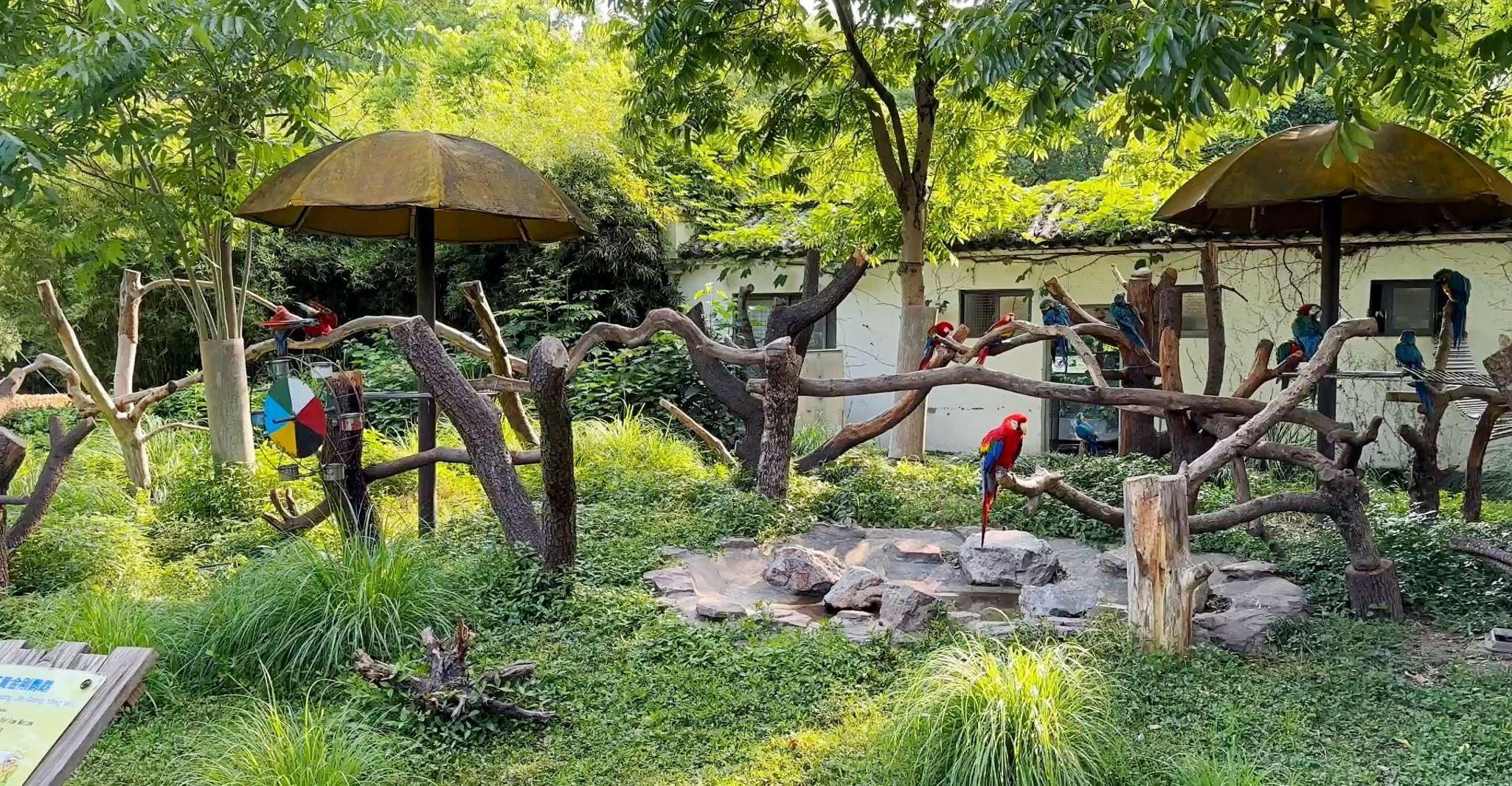 Shanghai: Zoo and Zhujiajiao Water Town Tour with Boat Ride photo 4