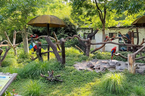 Zhujiajiao Water Town Privat tur med Shanghai Zoo &amp; Panda