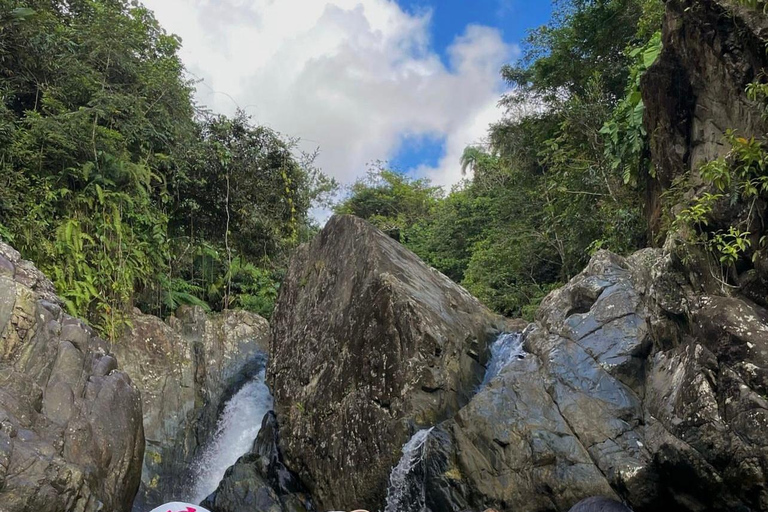 San Juan : Excursion d&#039;une journée dans la forêt tropicale d&#039;El Yunque (groupe maximum de 6 personnes)San Juan : Excursion privée d&#039;une journée dans la forêt tropicale d&#039;El Yu