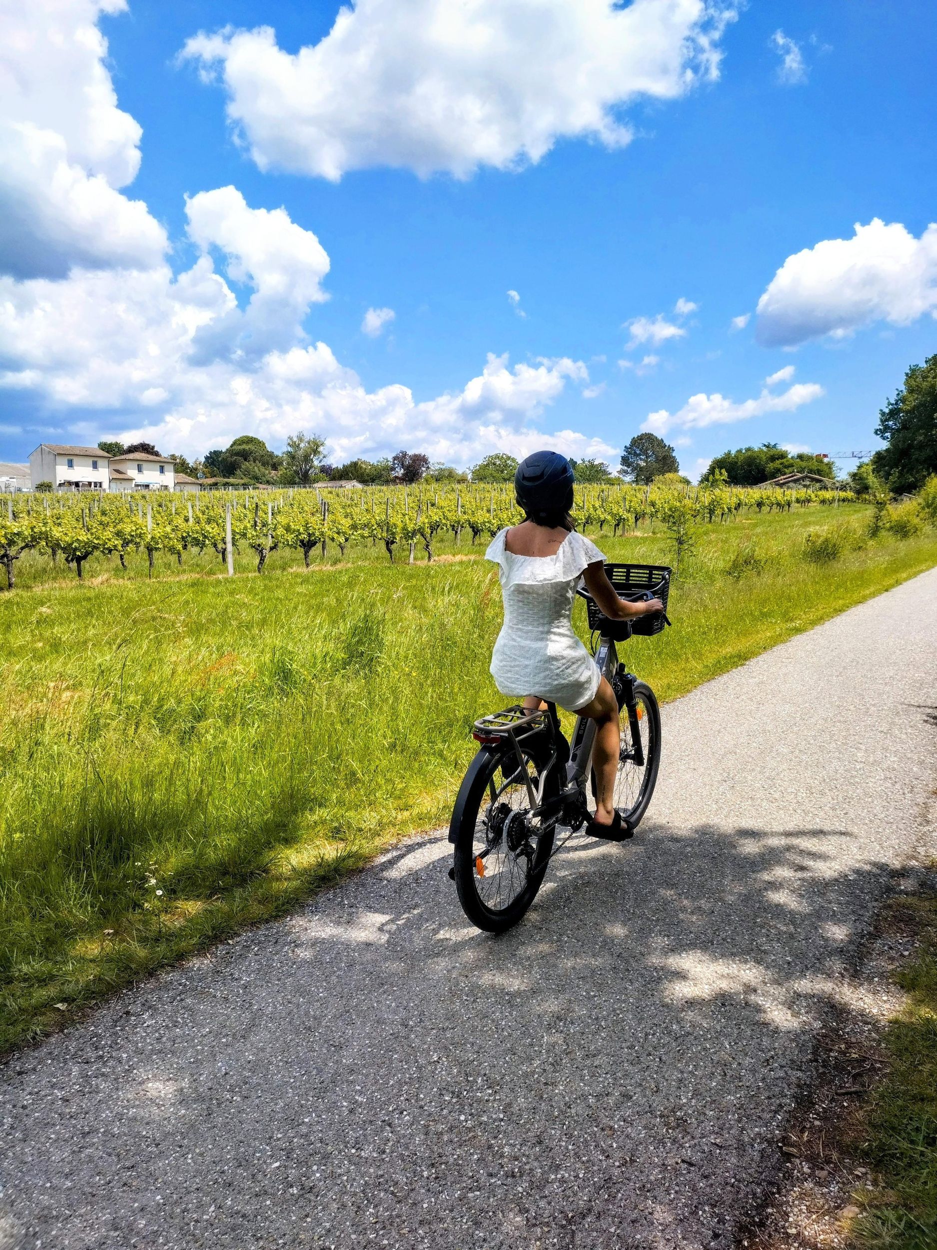 E-Bike-Tour von Bordeaux nach Saint-Émilion mit Mittagessen