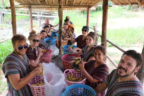 Chiang Mai: One Day Eco-Trek, Elephant care & Bamboo Rafting