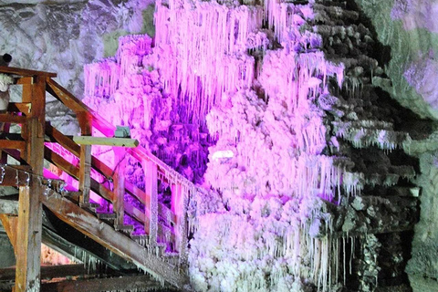 From Brasov: Bear Sanctuary & Slanic Salt Mine + Tickets Slănic Salt Mine Only
