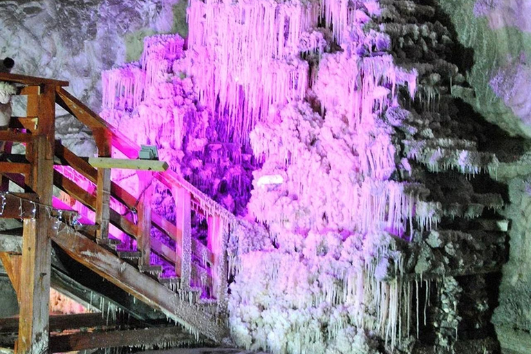 From Brasov: Bear Sanctuary & Slanic Salt Mine + Tickets Slănic Salt Mine Only
