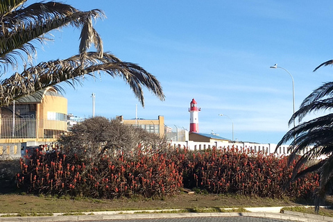 Tour della città sulla costa del Pacifico (3 città in 4 ore)