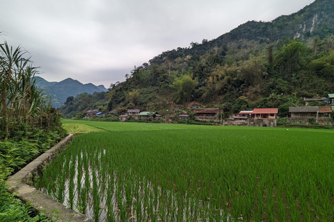 Pacote: Ninh Binh - Sapa - Ha Giang Easy Rider 6D5N