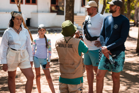 Excursion d&#039;une journée à Komodo en bateau rapide privé