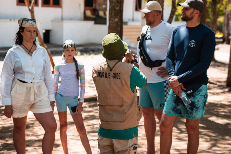 Excursion d&#039;une journée à Komodo en bateau rapide privé