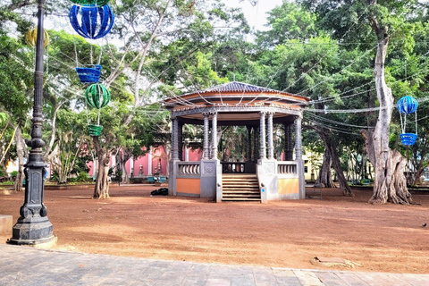 Santa Cruz: Paseo guiado por el casco antiguo - Lugares de interés y especiales