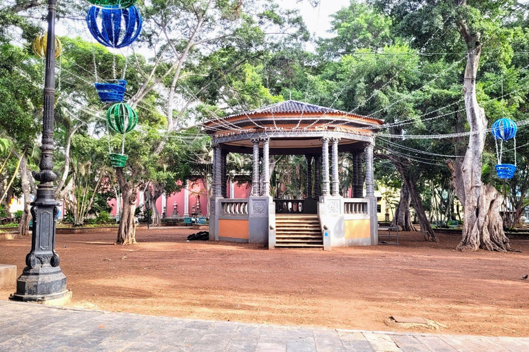 Santa Cruz: Paseo guiado por el casco antiguo - Lugares de interés y especiales