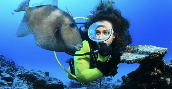 Lanzarote: Scuba Diving Baptism and Boat Trip to Flamingo Wall