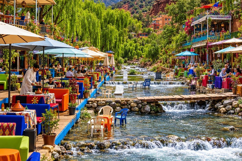 From Marrakech: Ourika Valley Atlas Mountains Day Trip with Lunch Option 3: Shared Group Transport and Local Guide